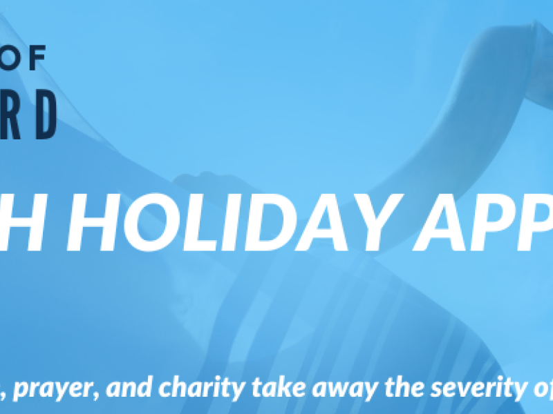 DONATE TO OUR OUR HOLIDAY APPEAL
